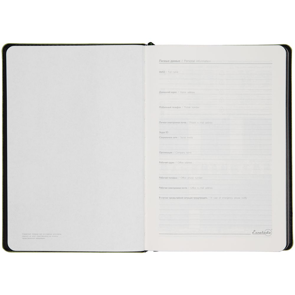 Ежедневник Alanis, недатированный, черный c зеленым / Миниатюра WWW (1000)