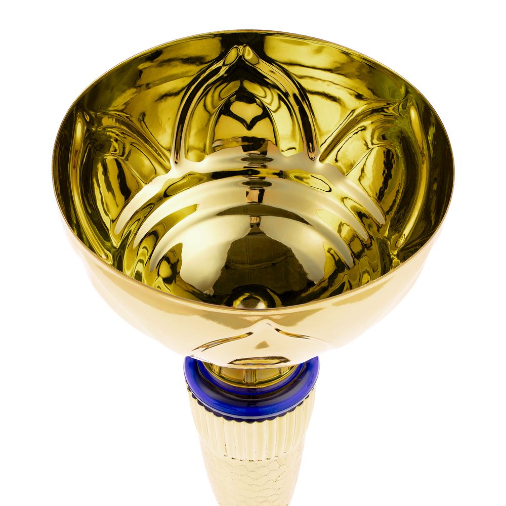 Кубок Awardee, большой, синий / Миниатюра WWW (1000)