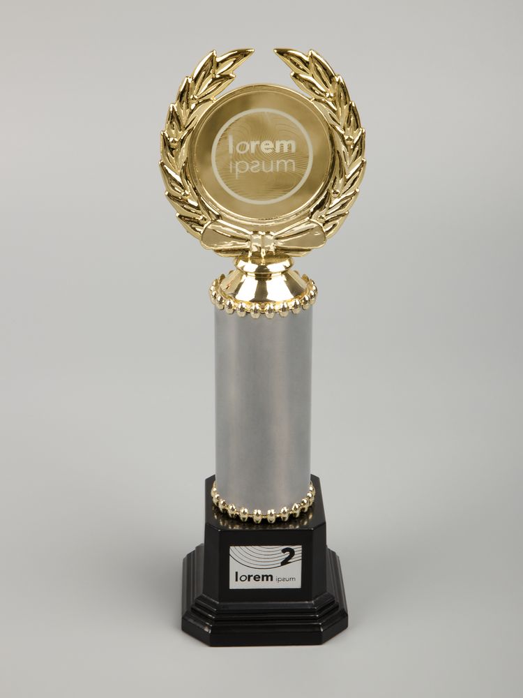 Стела EnterPrize, средняя, серебристая / Миниатюра WWW (1000)