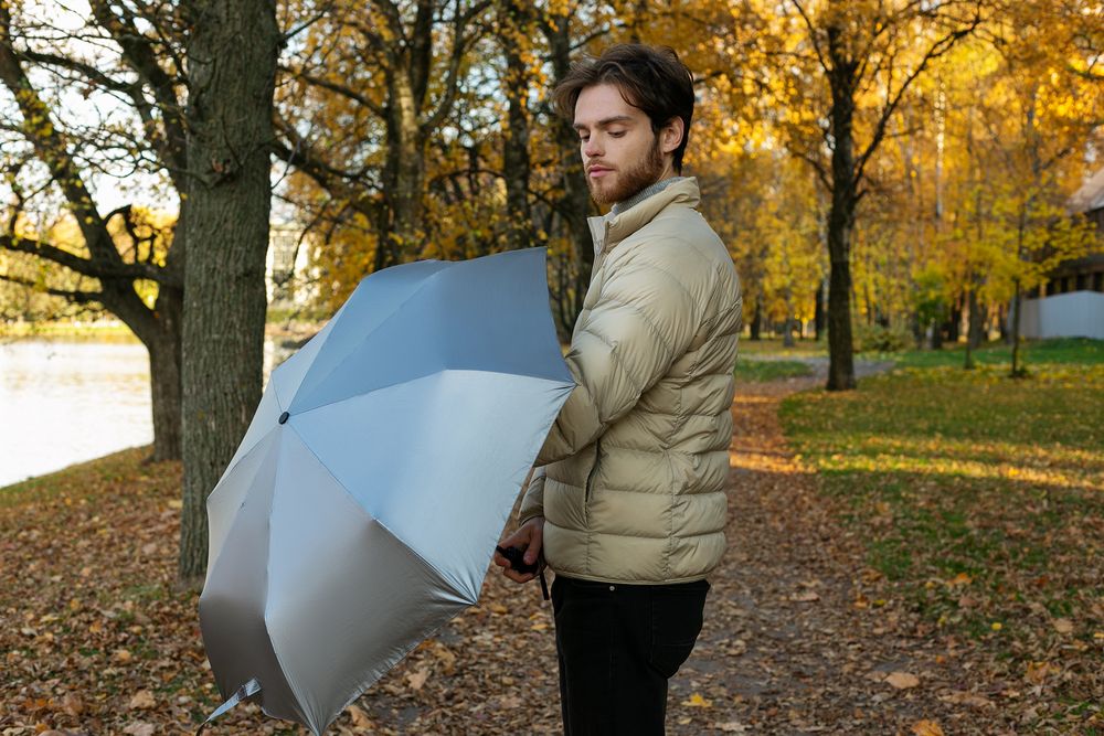 Зонт складной ironWalker, серебристый / Миниатюра WWW (1000)