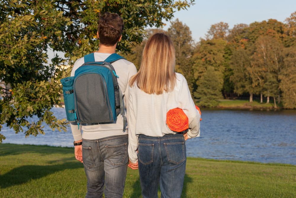 Плед для пикника Comfy, желтый / Миниатюра WWW (1000)