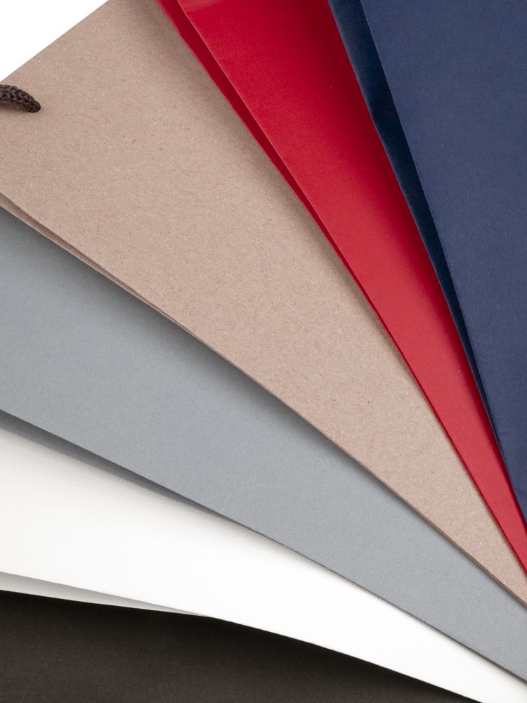 Пакет под бутылку Vindemia, крафт / Миниатюра WWW (1000)