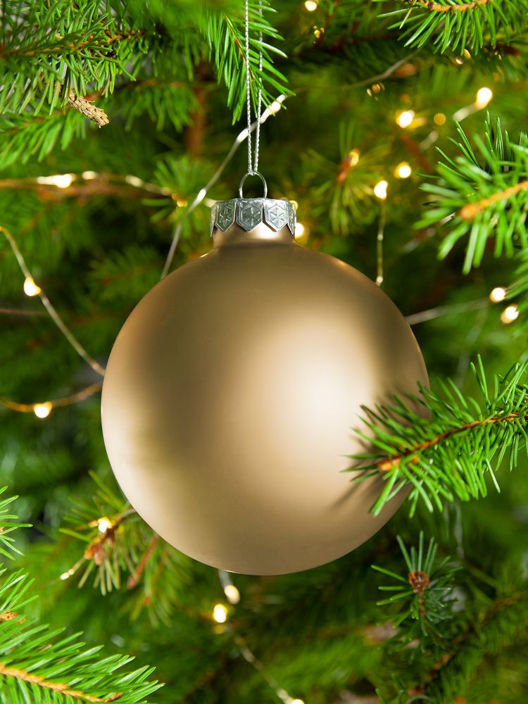 Елочный шар Finery Matt, 10 см, матовый золотистый / Миниатюра WWW (1000)