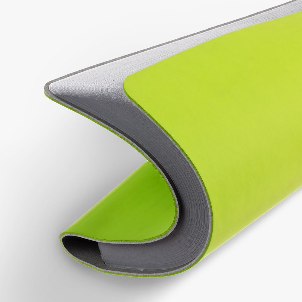 Ежедневник Flexpen Mini, недатированный, светло-зеленый / Миниатюра WWW (1000)