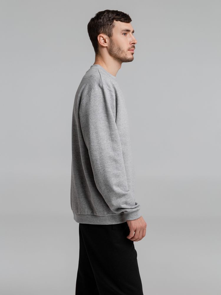 Толстовка Spider 260, серый меланж / Миниатюра WWW (1000)