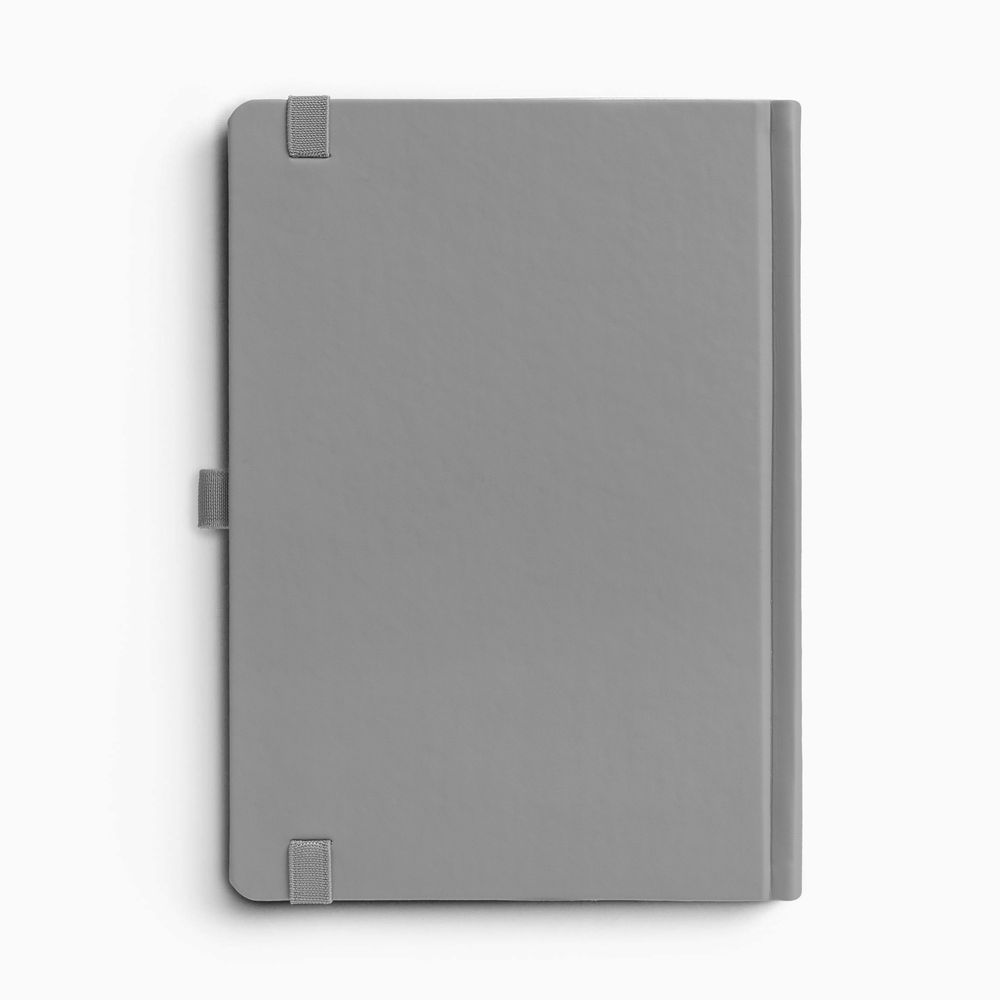 Ежедневник Favor, недатированный, серый / Миниатюра WWW (1000)