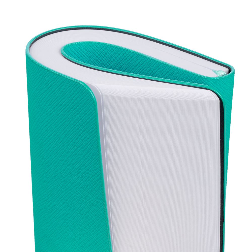 Ежедневник Costar, недатированный, бирюзовый / Миниатюра WWW (1000)