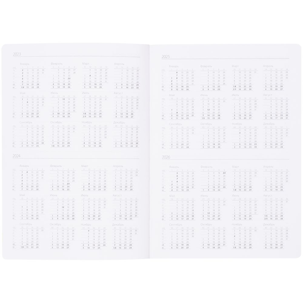 Ежедневник Nebraska Flex, недатированный, бордовый с серебристым / Миниатюра WWW (1000)