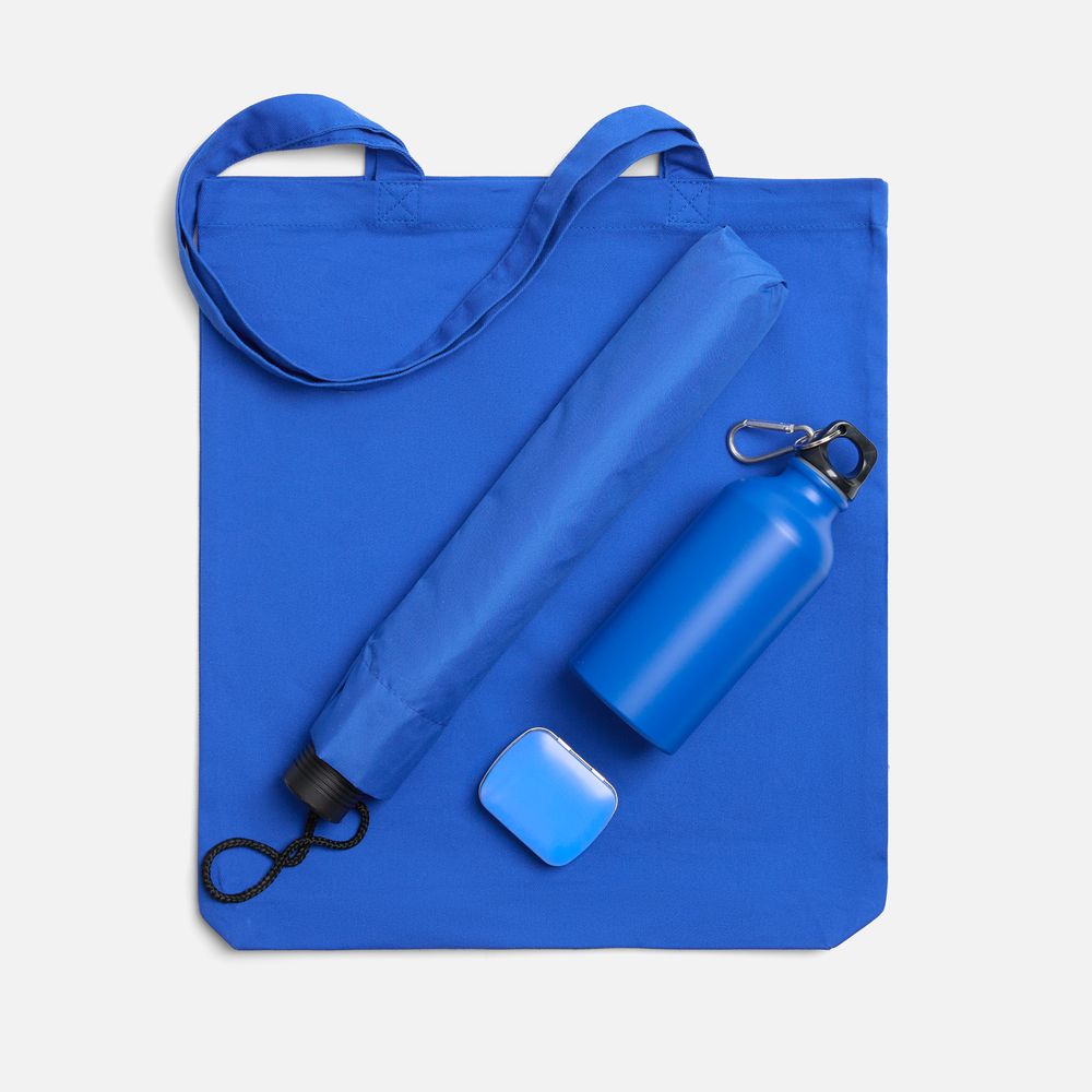 Набор Vega, синий / Миниатюра WWW (1000)