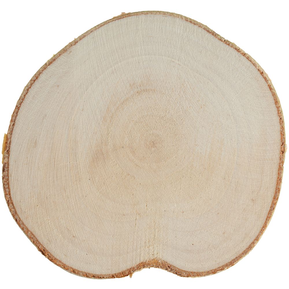 Набор костеров Birchdale / Миниатюра WWW (1000)