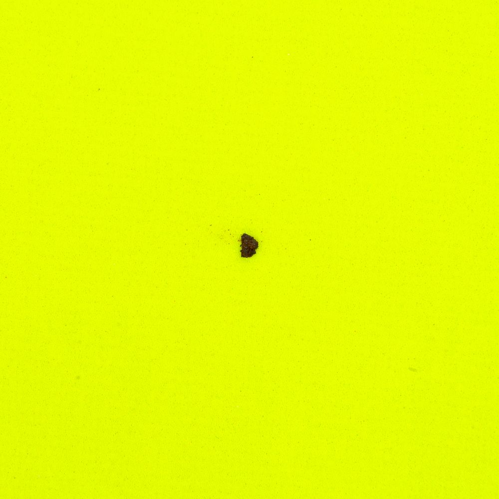 Рюкзак-мешок Manifest Color из светоотражающей ткани, желтый неон, уценка / Миниатюра WWW (1000)