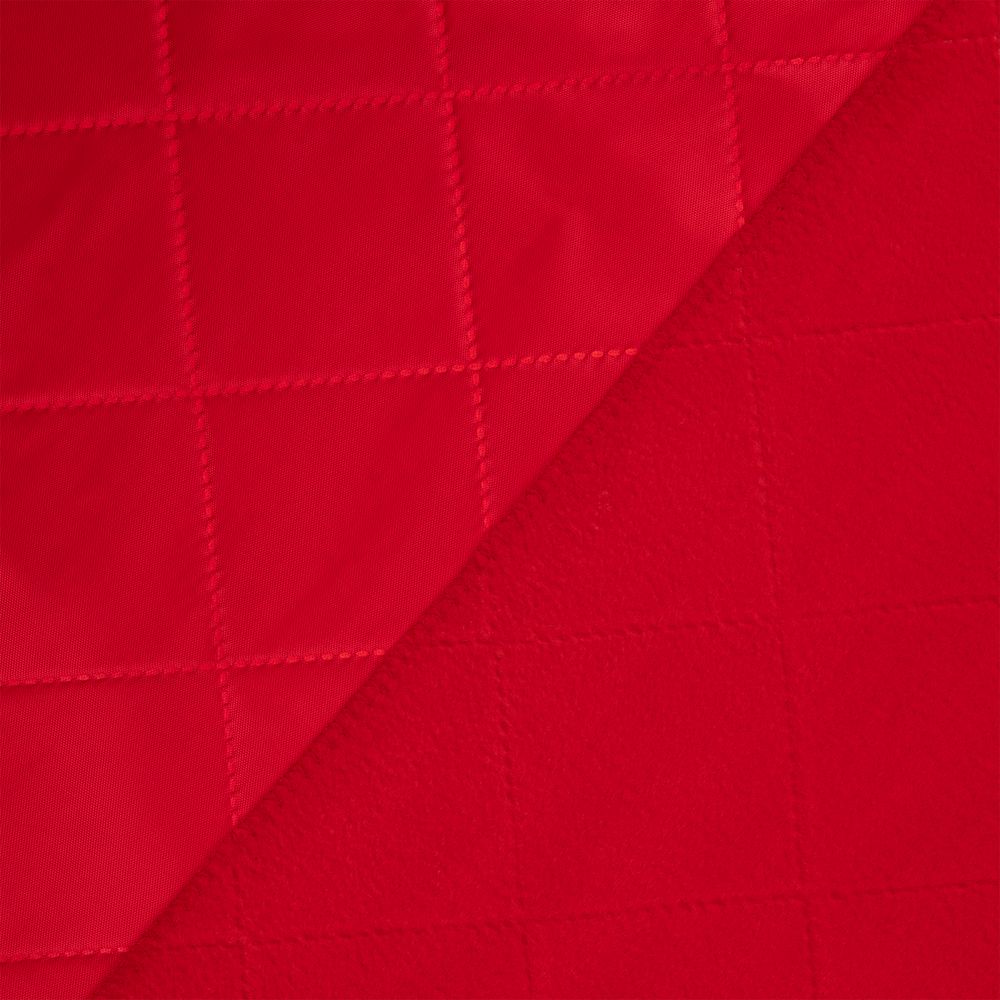 Плед для пикника Soft & Dry 2, красный / Миниатюра WWW (1000)