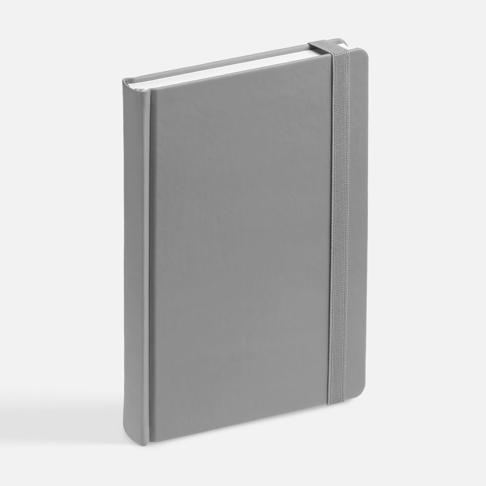 Ежедневник Favor, недатированный, серый / Миниатюра WWW (1000)