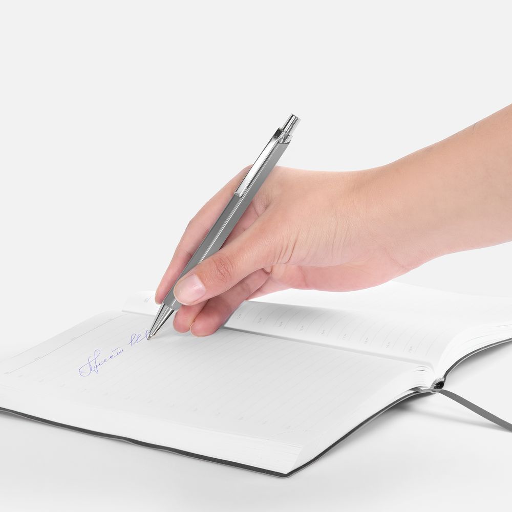 Ручка шариковая Alumno, серая / Миниатюра WWW (1000)