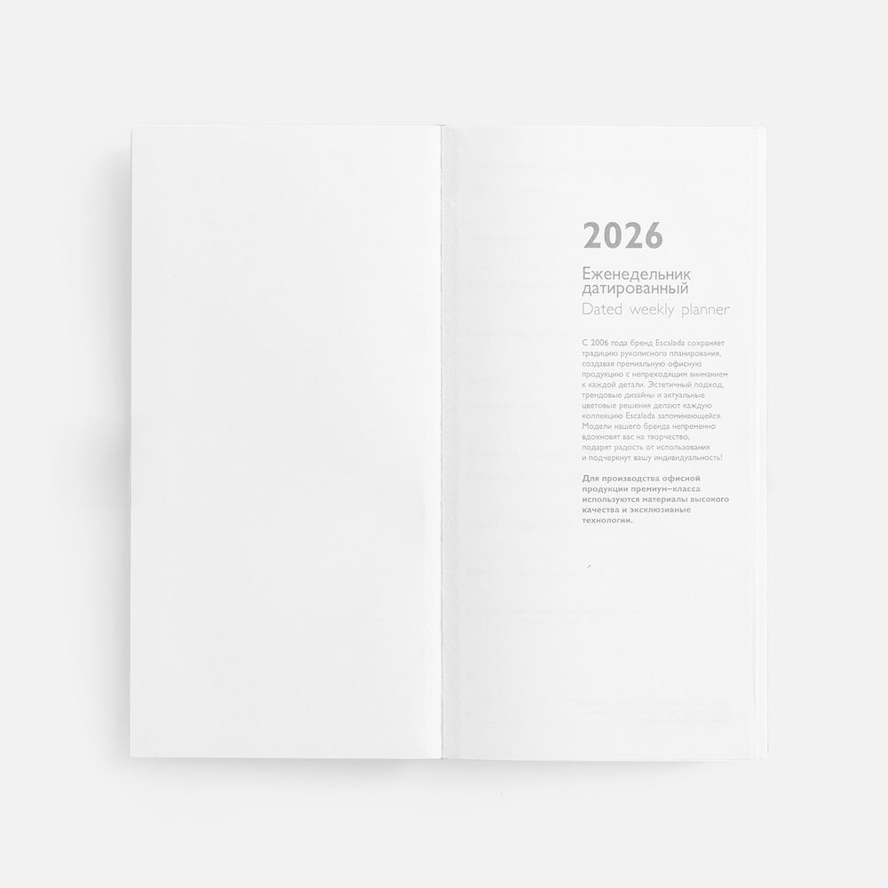 Еженедельник Baza, датированный, синий / Миниатюра WWW (1000)