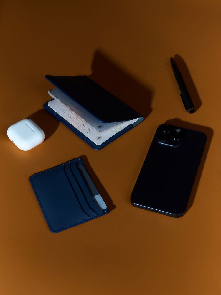 Обложка для паспорта Alaska, синяя / Миниатюра WWW (1000)