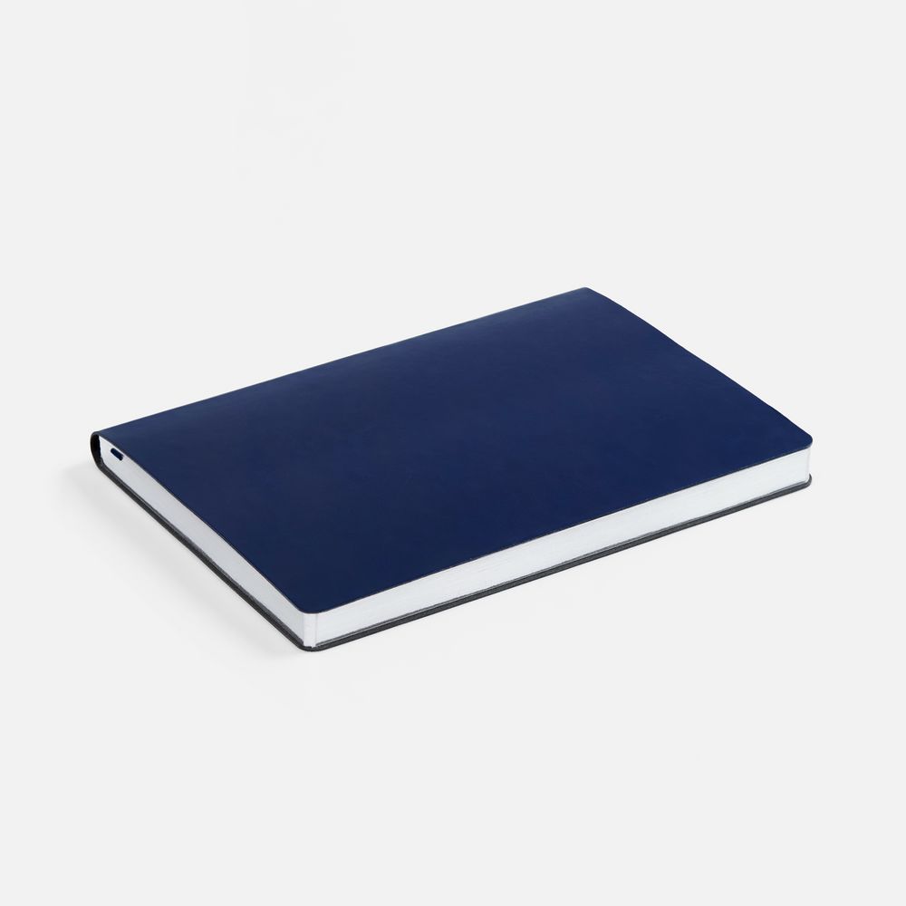 Ежедневник Nebraska Flex, недатированный, синий с серебром / Миниатюра WWW (1000)