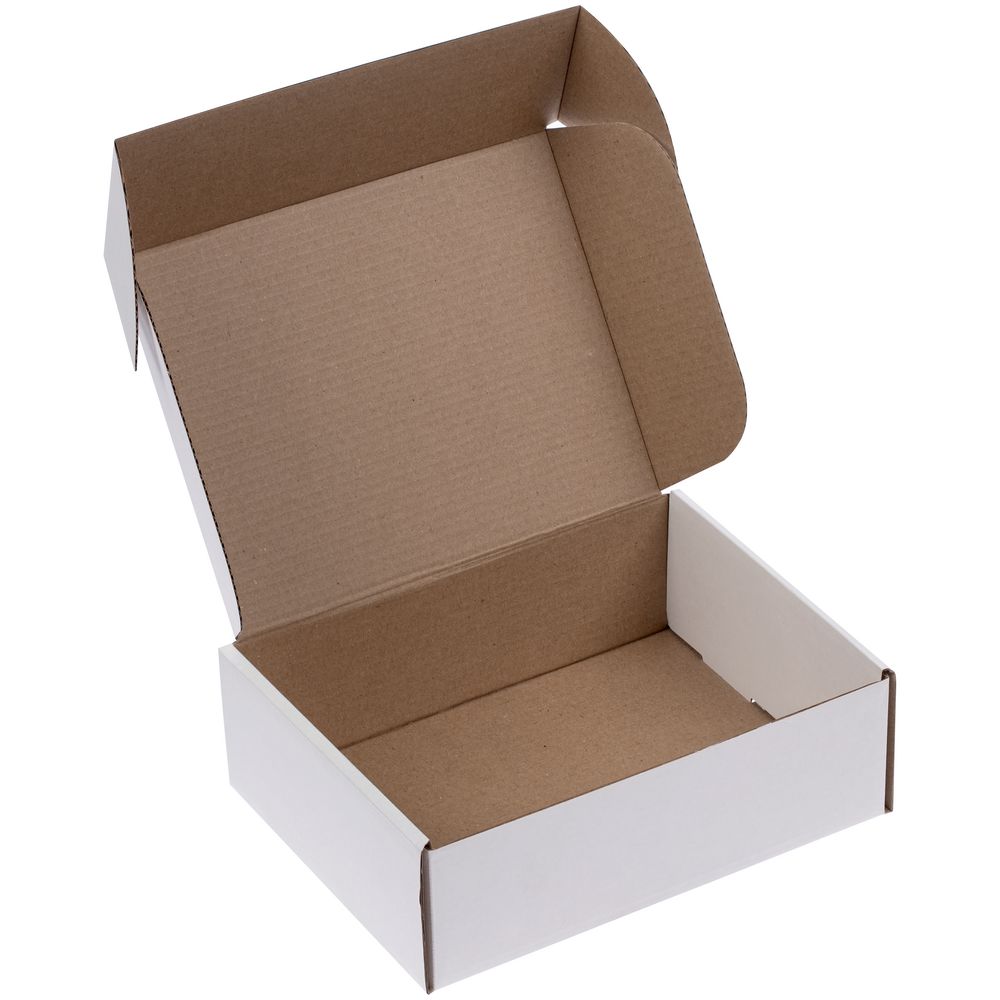 Коробка Flappy / Миниатюра WWW (1000)