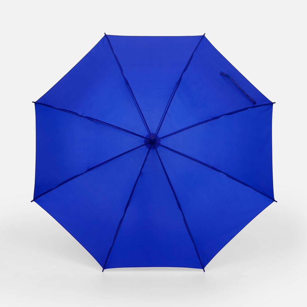 Зонт-трость Promo, синий / Миниатюра WWW (1000)