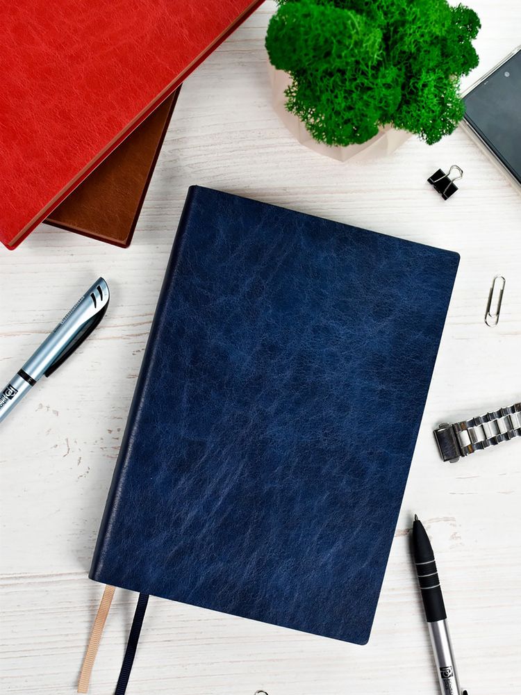 Ежедневник Merida, датированный, синий / Миниатюра WWW (1000)