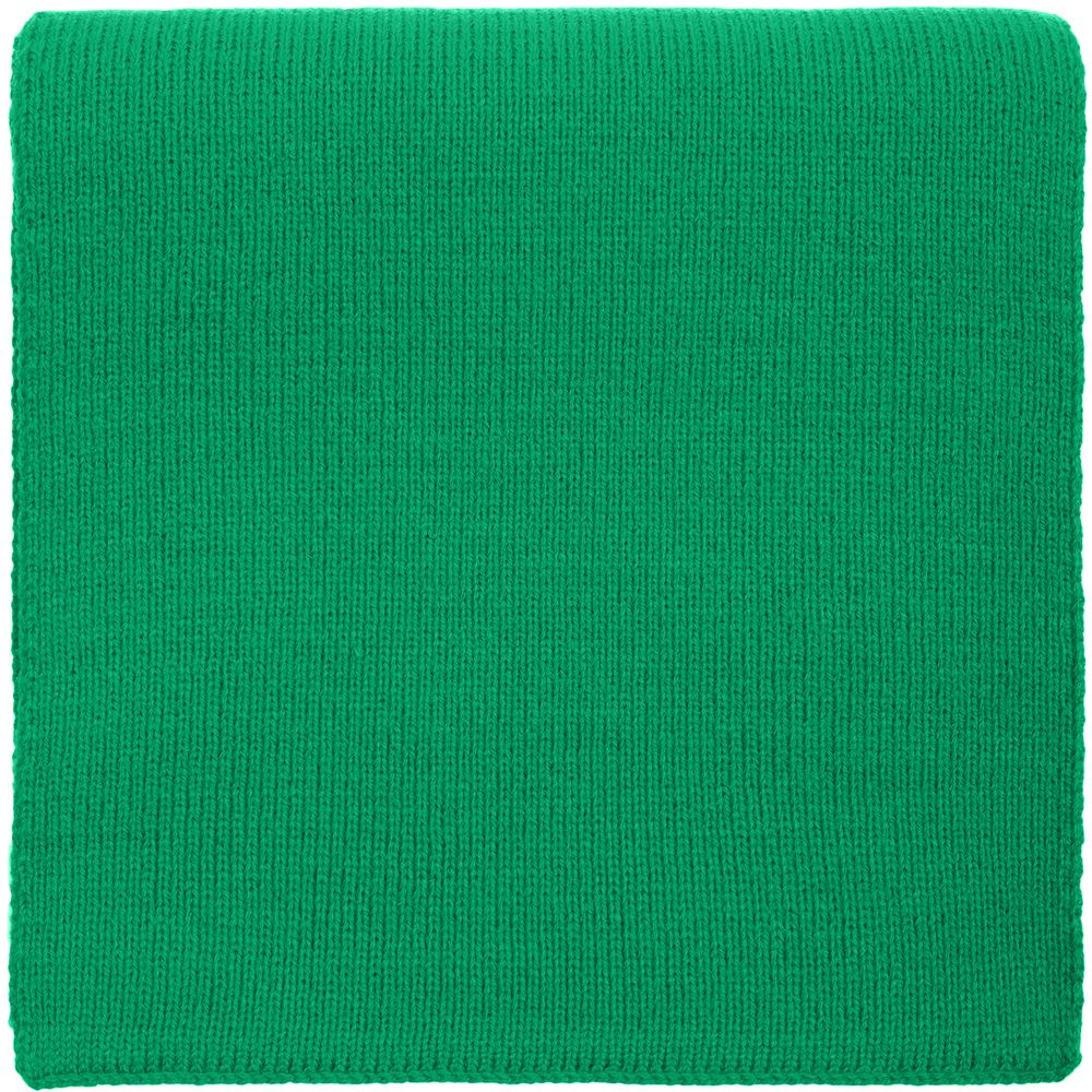 Шарф Urban Flow, зеленый / Миниатюра WWW (1000)