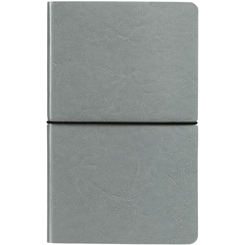 Ежедневник Shine, недатированный, серебристый / Миниатюра WWW (1000)