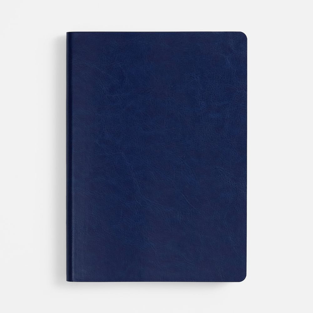 Ежедневник Nebraska Flex, недатированный, синий с серебром / Миниатюра WWW (1000)