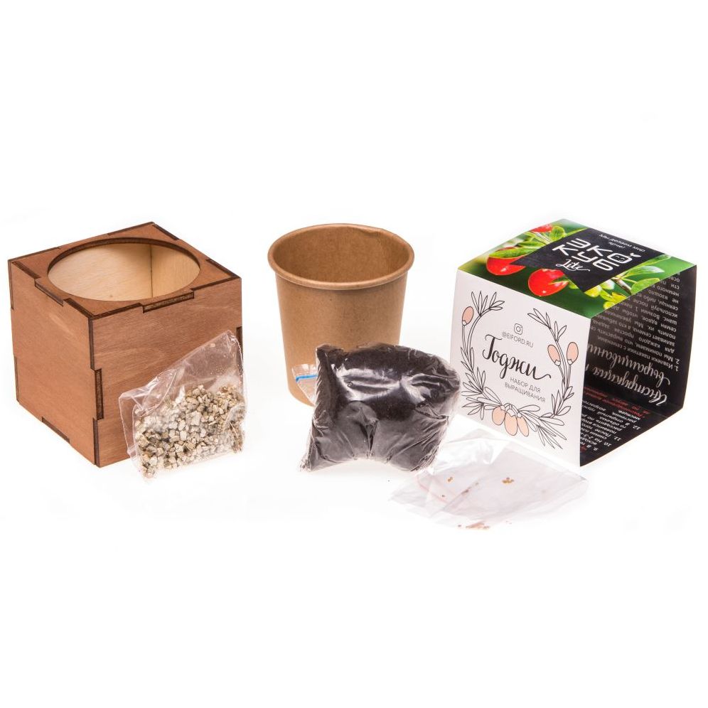 Набор для выращивания «Экокуб Lite», годжи / Миниатюра WWW (1000)