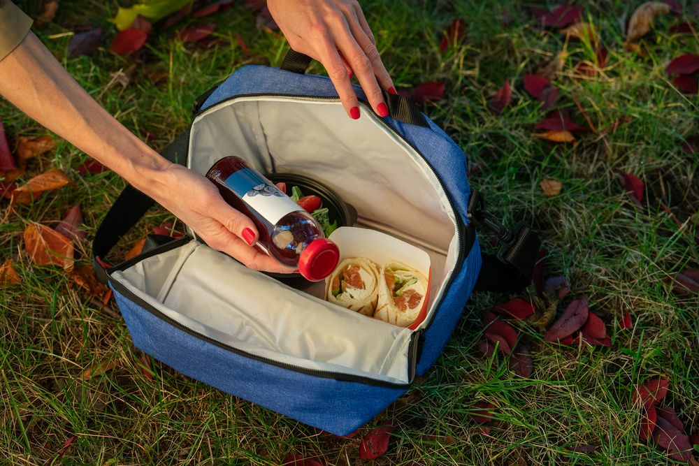 Термосумка Bartolo, синяя / Миниатюра WWW (1000)