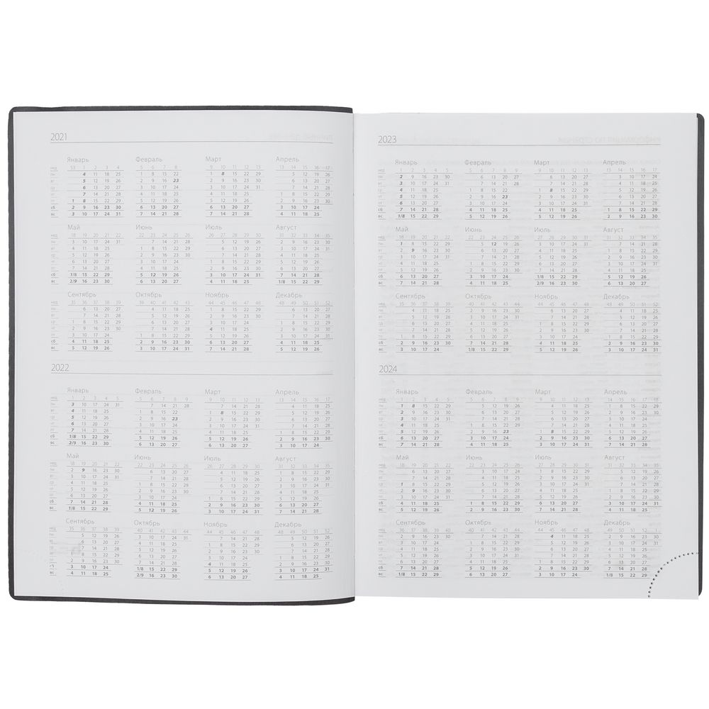 Ежедневник Vivian, недатированный, серый / Миниатюра WWW (1000)