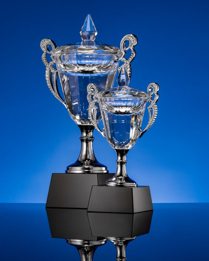 Кубок Victorious, малый, уценка / Миниатюра WWW (1000)