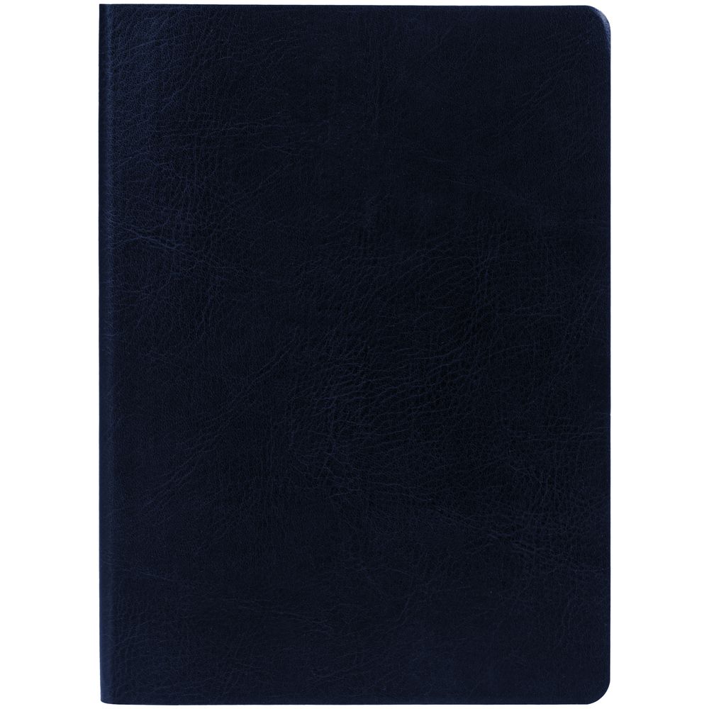 Ежедневник Nebraska Flex, недатированный, синий с золотистым / Миниатюра WWW (1000)