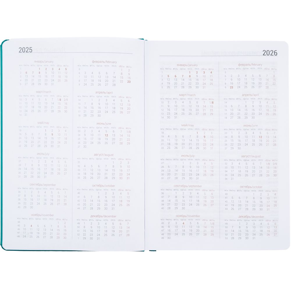 Ежедневник Basis, датированный, бирюзовый / Миниатюра WWW (1000)