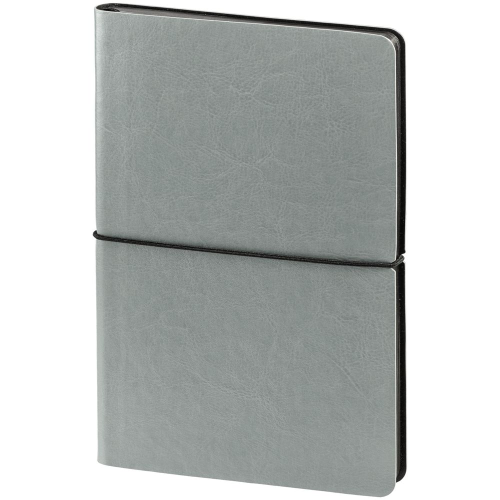 Ежедневник Shine, недатированный, серебристый / Миниатюра WWW (1000)