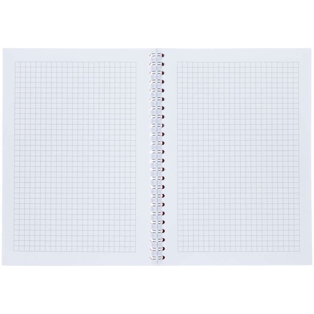 Блокнот Salvador в клетку, красный / Миниатюра WWW (1000)