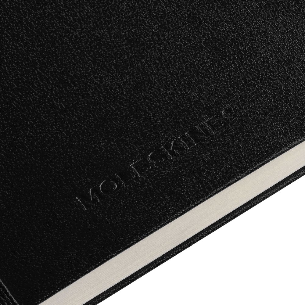 Записная книжка Moleskine Professional Large, черная / Миниатюра WWW (1000)