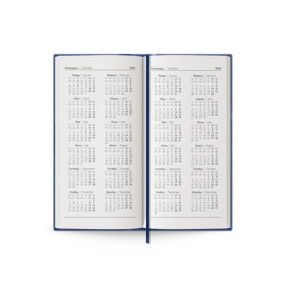 Еженедельник Baza, датированный, синий / Миниатюра WWW (1000)