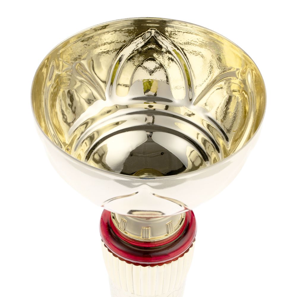 Кубок Awardee, средний, красный / Миниатюра WWW (1000)