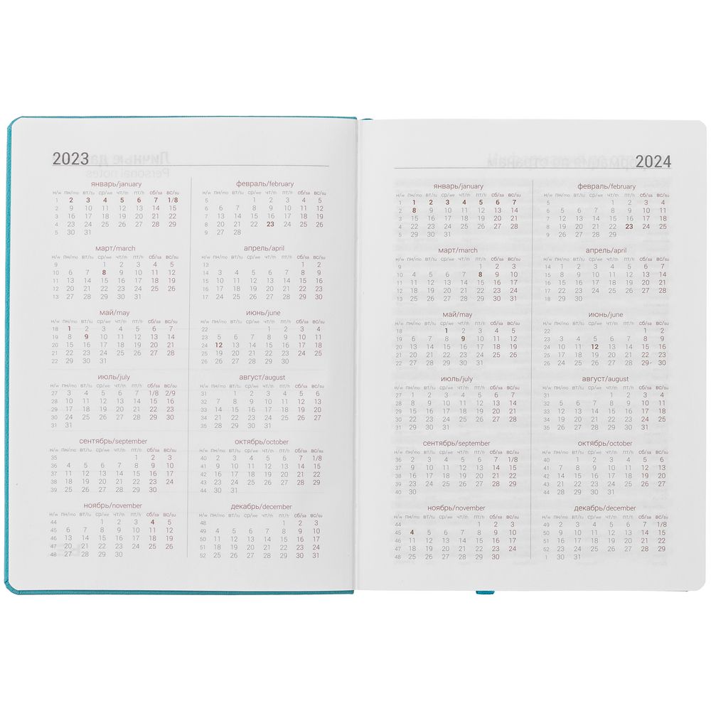 Ежедневник Basis, датированный, бирюзовый / Миниатюра WWW (1000)