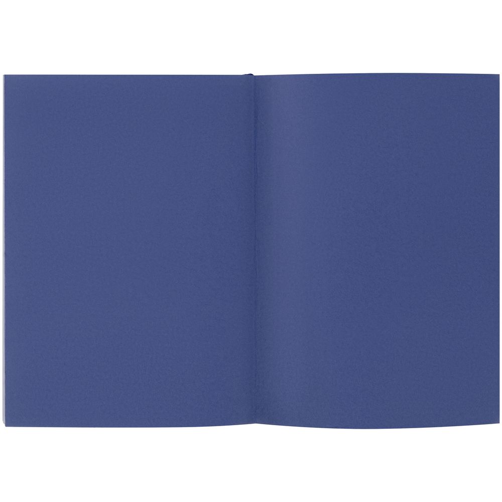 Ежедневник Flat, недатированный, синий / Миниатюра WWW (1000)