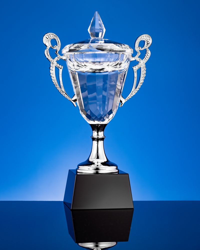 Кубок Victorious, уценка / Миниатюра WWW (1000)