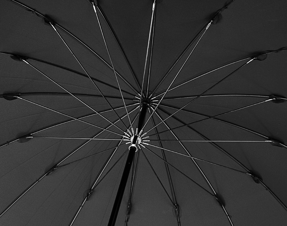 Зонт-трость Big Boss, черный / Миниатюра WWW (1000)