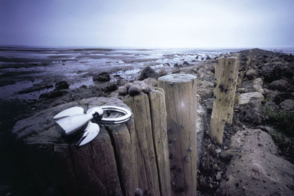 Брелок Angel / Миниатюра WWW (1000)